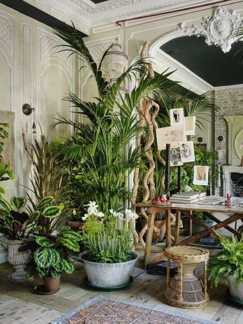 Interior Jungle Different Types Of Plants, Jungle Decorations, Lots Of Plants, Indoor Gardens, Plants Indoor, Indoor Jungle, Interior Plants, Deco Boheme, House Plants Decor