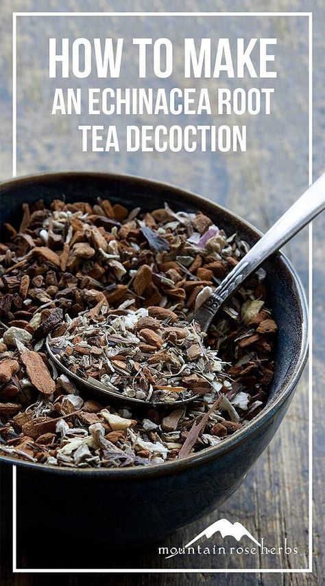 Tincture Recipes, Roasted Dandelion Root, Echinacea Benefits, Tea Blends Recipes, Herbal Tea Recipes, Medicine Recipes, Echinacea Tea, Healthy And Unhealthy Food, Teas Recipes