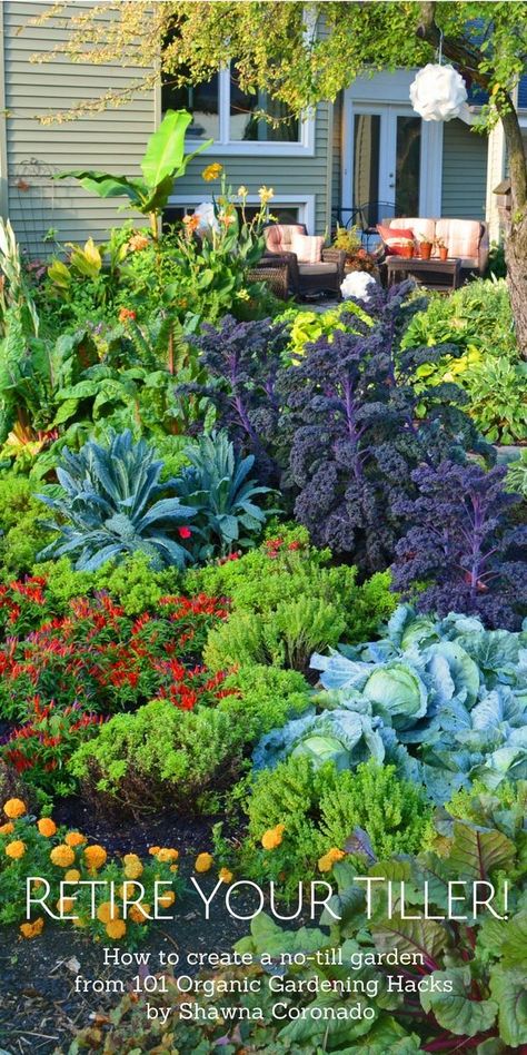 Flower Landscaping, Edible Landscape, Dig Gardens, Permaculture Gardening, Backyard Vegetable Gardens, Potager Garden, Garden Veggies, Edible Landscaping, Veg Garden