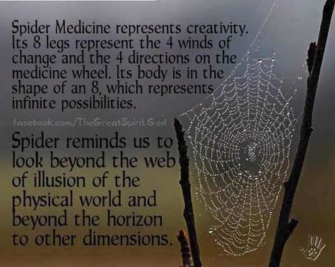 Native wisdom regarding spiders Photos With Quotes, Animal Totem Spirit Guides, Animal Meanings, Spirit Animal Totem, Spiritual Animal, Native American Wisdom, Animal Spirit Guides, Animal Medicine, Native American Quotes