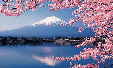 gunung fuji Gunung Fuji, Fuji Mountain, Monte Fuji, Japan Sakura, Japan Landscape, Movie Theatre, Beautiful Landscape Photography, Night Sky Wallpaper, Sky Wallpaper