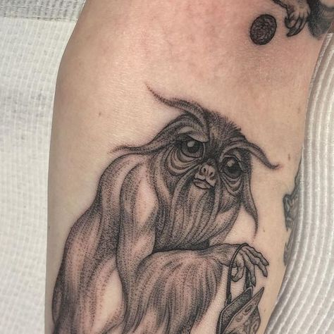 Eddy on Instagram: "Dougal the Demiguise for Lisa 👜 @flttattoostudio For bookings and info please click on the link in my bio, and be sure to turn on notifications for booking updates. [Image Description: a fine line, black and grey tattoo of Dougal, a magical beast called a Demiguise from a popular fantasy series, the author shall not be named. The Demiguise has an ape and sloth like appearance with long white fur over its body. He is in a seated position, holding an open stolen handbag in h Demiguise Tattoo, Black And Grey Tattoo, Tattoo Reference, Image Description, Grey Tattoo, White Fur, Fantasy Series, Skin Art, Fine Line