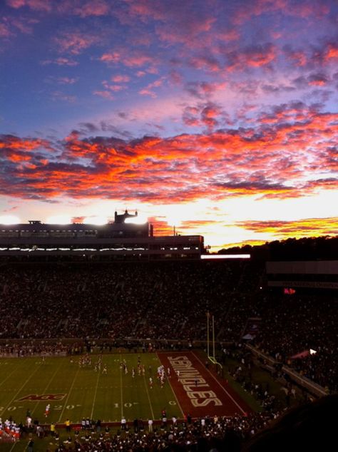 GO FSU! Fsu Football Aesthetic, Fsu Wallpaper Aesthetic, Fsu Campus Aesthetic, Florida State Aesthetic, Tallahassee Florida Aesthetic, Fsu College Aesthetic, Florida State University Aesthetic, Fsu Stadium, University Tattoo