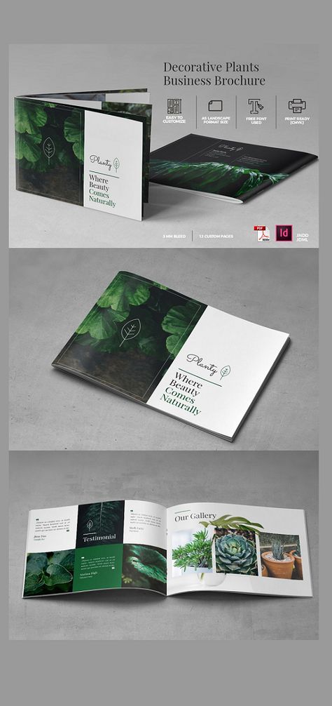 Plant Catalog Design, Creative Catalog Design, Plant Brochure, Nature Brochure, Artist Brochure, Landscape Brochure Design, Product Brochure Design, Plant Magazine, Indesign Inspiration