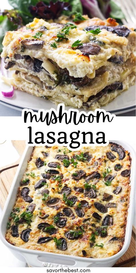 Who knew that mushroom lasagna could be a game-changer for your dinner routine? You might think you’ve mastered lasagna, but I’m here to blow your mind with a veggie version that outshines the classic. This lasagna is all about rich, caramelized mushrooms, creamy ricotta, and enough cheese to make you swoon. Plus, it’s freezer-friendly, making it perfect for meal prep. Trust me, you won’t miss the meat one bit. Mushroom Lasagna Recipe, Spinach Mushroom Lasagna, Lasagna With Cottage Cheese, Caramelized Mushrooms, Apartemen Studio, Mushroom Lasagna, Seafood Lasagna, Beef Lasagna, Veggie Lasagna