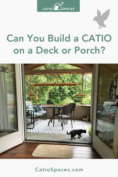 Porch Cat Enclosure, Catio Screened In Porch, Catio Enclosure Outdoor Cats, Under Deck Cat Enclosure, Pergola With Catio, Cat Proof Deck, Screened In Porch With Catio, Screened In Porch Cat Friendly, Cat Proof Screened In Porch