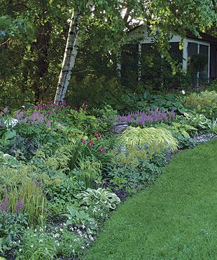 Shade garden with astilbe, hosta, japanese forestgrass, and toad lily Landscape Borders, Garden Shrubs, Fine Gardening, Woodland Garden, Garden Borders, Shade Plants, Garden Cottage, Lawn And Garden, Shade Garden