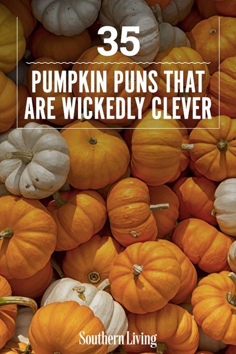 Whether you're whipping up a sweet pumpkin treat or carving faces in jack-o'-lanterns at home, we gathered up some of the most clever puns that are sure to get laughs all season long. Caption your funniest pumpkin pictures with these crafty puns and really give 'em pumpkin to talk about. #fallpuns #funnyfallquotes #pumpkinpuns #instagramcaptions #southernliving Pumpkin Carving Captions Instagram, Jack O Lantern Quotes, Pumpkin Puns Funny, Pumpkin Carving Captions, Pumpkin Quotes Funny, Pumpkin Patch Quotes, Pumpkin Sayings, Pumpkin Jokes, Pumpkin Puns