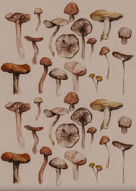 Dark Mushroom Aesthetic, Mushroom Background Wallpapers, Mushroom Aesthetic Wallpaper, Vintage Autumn Aesthetic, Dark Academia Illustration, Academia Apartment, Academia Illustration, Mushroom Photos, Academia Prints