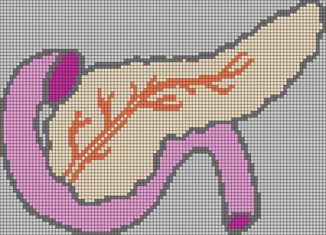 Alpha pattern #46255 | BraceletBook Pancreas Anatomy, Crochet Alpha Pattern, Crochet Alphabet Letters, Pixel Grid, Crochet Grid, Crochet Alphabet, Crochet Graphs, Graph Paper Drawings, Pixel Pattern