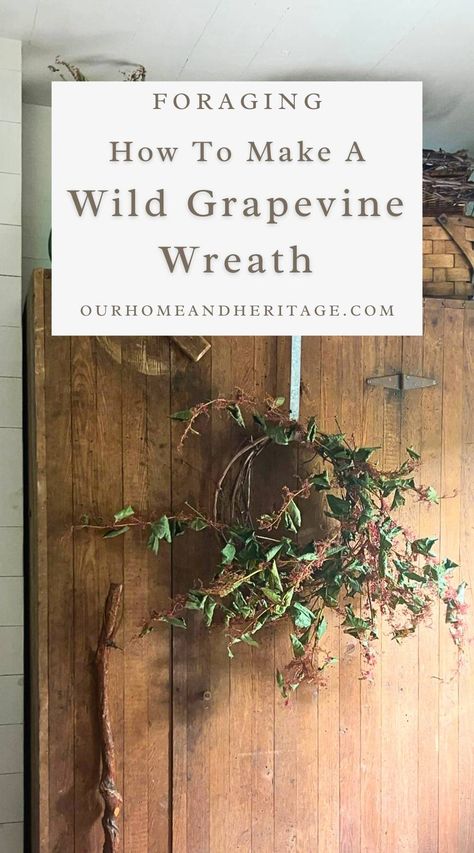 How To Make A Grapevine Wreath, Foraged Crafts, Grapevine Projects, Invasive Vines, Grapevine Wreath Ideas, Grapevine Decor, Make Your Own Wreath, Christian Homemaking, Porch Decorations