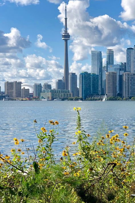 Photo of CN Tower taken from the Toronto Islands. Toronto Islands Canada, Toronto Aesthetic Summer, Toronto Summer Aesthetic, Cn Tower Aesthetic, Toronto Canada Summer, Toronto Canada Aesthetic, Toronto Living, Toronto Aesthetic, Toronto Summer