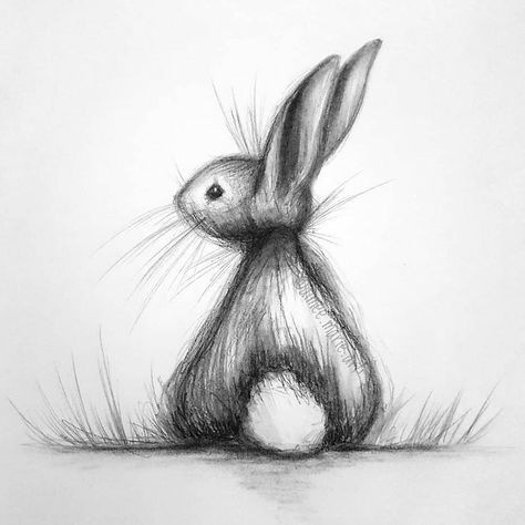 Bunny Illustration Design, Drawing Hands, Bunny Drawing, Drawing Faces, Bunny Art, A Bunny, Pencil Art Drawings, Animal Sketches, A Pencil