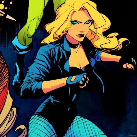 posting DC Comics Dc Comics Black Canary, Black Canary Icon, Black Canary Comic, Superhero Women, Justice League Art, Dinah Drake, Dinah Lance, Dinah Laurel Lance, Dc Women