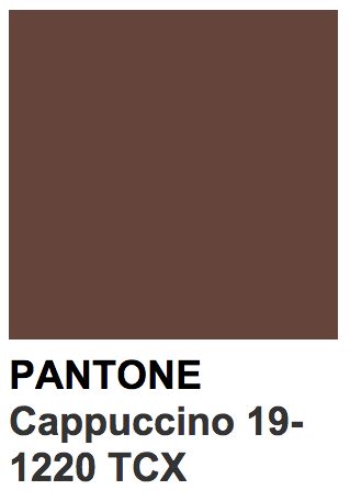 Pantone 19-1220 TCX Cappuccino Boy Choy, Painting Corner, Green Lily, Pantone Palette, Pantone Colour Palettes, Colour Theory, Pantone Colors, Plains Background, Pretty Pics