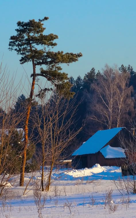 Winter Reference Photo, Snowscape Photography, Snowy Landscape Photography, Snow Landscape Photography, Landscapes For Painting, Rural Photography, Winter Landscape Photography, Landscape References, Background References