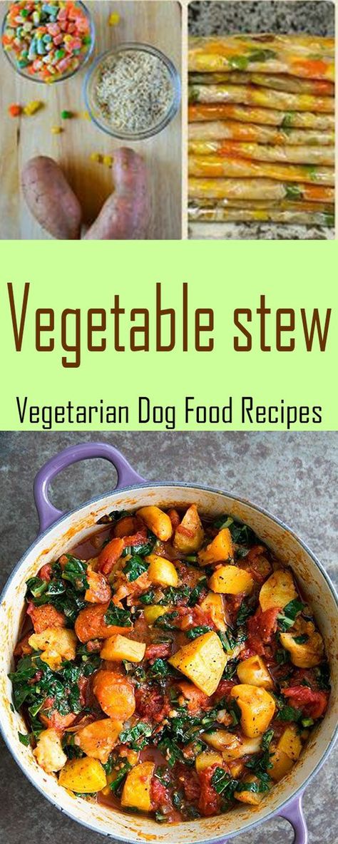 By making your own homemade dog food, you can save a bundle and also cut out the preservatives and additaves found in store-bought pet food. Low Fat Dog Food, Dog Vegetables, Vegetarian Dog Food Recipe, Vegan Dog Food, Vegetable Stew Recipe, Homemade Dog Cookies, Dog Biscuit Recipes, Vegan Dog, Raw Dog Food Recipes