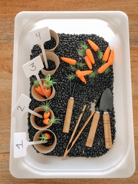 Kids Spring Sensory Bins Spring Sensory, Uppfostra Barn, Toddler Sensory Bins, Baby Sensory Play, Sensory Activities Toddlers, Montessori Toddler Activities, Toddler Sensory, Baby Learning Activities, Sensory Table