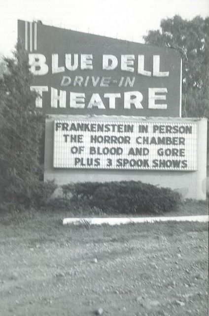 Blue Dell Complex in Irwin: Eat, Swim, and See a Movie via @thirdstopright Drive Inn Movies, Drive In Theatre, Movie Marquee, Waterloo Iowa, Land Of The Lost, Drive In Movie Theater, Vintage Diner, Ghost Signs, Drive In Theater