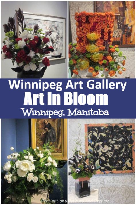 Every second spring, the Art in Bloom exhibit at the Winnipeg Art Gallery in Winnipeg, Manitoba features floral arrangements designed to complement works of art. #Winnipeg #Manitoba #art Art In Bloom, Valley Flowers, Winnipeg Manitoba, Pale Colors, White Tree, Floral Display, Spring Festival, Flower Show, Calla Lily