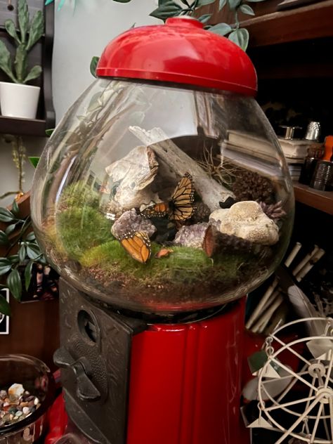 Cutestudios crafts: gumball machine dead terrarium #gumballmachine #terrarium #deadterrarium #gumballmachineterrarium #plants #butterfly #amethyst #crystals #bones #boho #indie #grunge #hippy #bedroom #diy #vintage #retro #funky Gumball Machine Fish Tank, Gumball Machine Terrarium, Gumball Machine Decor, Gumball Machine Ideas, Gumball Machine Diy, Crystal Terrarium Diy, Butterfly Terrarium, Clutter Core, Gumball Machine Craft