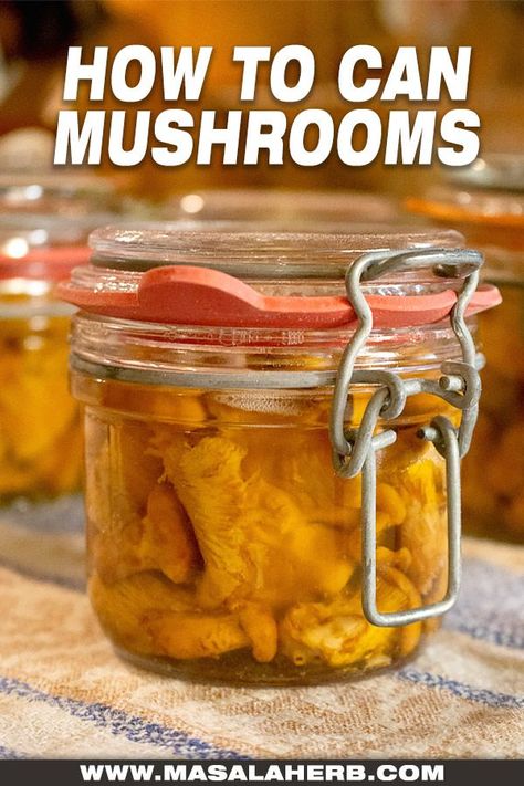 Preserve Mushrooms, Pickled Mushrooms Recipe, Pickled Mushrooms, Mushroom Varieties, Fall Vegan Recipes, Mushroom Dish, Canned Mushrooms, Water Bath Canning, Cocoa Recipes