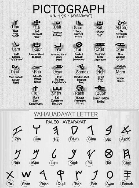 Paleo Hebrew Alphabet, Yahuah Yahusha, Hebrew Vocabulary, Paleo Hebrew, Aleph Bet, Hebrew Lessons, Hebrew Alphabet, Hebrew Israelite, Hebrew Language