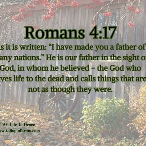 Start Your Day Right Devotion OUR FATHER IN THE SIGHT OF GOD ROMANS 4:17 While Abraham is the father of the Jews in a physical sense, he is the father of Christ's followers in a spiritual sense as they follow his example and have the same kind of faith in God...Continue Reading. https://www.tailspinfarms.com/life-in-grace/our-father-in-the-sight-of-god-romans-417#/ #tailspinfarmslifeingrace #romans4v17 #romans #our #father #inthe #sight #of #god #continuereading #dailydevotion #share Life In Grace, Romans 4, Our Father, The Father, Daily Devotional, Faith In God, Farm Life, Bible Study, Physics