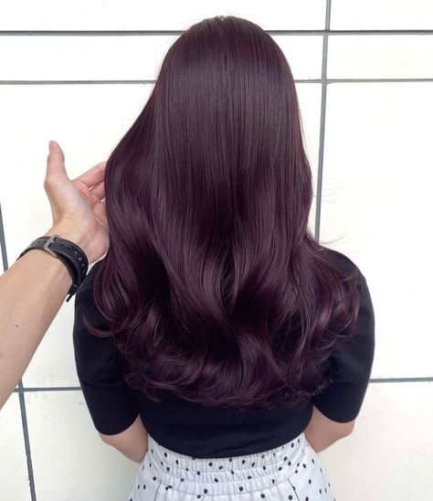 4vv Hair Color, Global Grape Hair Color, Deep Purple Brown Hair, Cassis Purple Hair, Violet Auburn Hair, Black Violet Hair Color, Dark Purple Brown Hair, Eggplant Hair Color Dark, Black Plum Hair Color