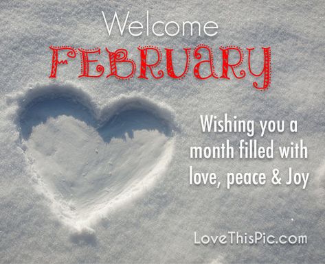 Welcome February Goodbye January, February Hello, Welcome February, February Quotes, New Month Quotes, Month Quotes, Hello February, Message Board Quotes, Board Quotes