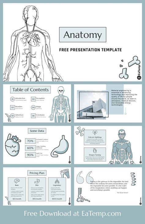 Elegant Anatomy PowerPoint Template

A stunning and modern PowerPoint template for medical presentations. With a clean and minimalist design, this template is perfect for any type of medical presentation. It includes 100+ unique slides, 3D models, and a variety of graphics and icons. Get it now on Google Slides Ideas, Slides For Ppt, Slide Themes, Google Slide Templates, Medical Presentation, Presentation Ideas For School, Ppt Template Design, Free Powerpoint Presentations, Presentation Slides Design