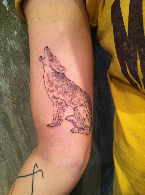 #ZacScheinbaum #savedtattoo #coyote #tattoo Colter Wall Coyote Tattoo, Coyote Howling Tattoo, Coyote Tattoo Women, Coyote Tattoo Traditional, Poem Drawings, Coyote Tattoos, Skull Tattoo Meaning, Coyote Tattoo, Coyote Skull