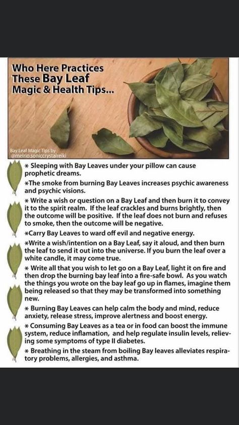 Burn Bay Leaves, Burning Bay Leaves, Magickal Herbs, Witch Herbs, Magia Das Ervas, Magic Herbs, Magical Herbs, Witchcraft Spell Books, Natural Healing Remedies