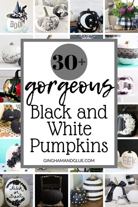 Black Craft Pumpkin Ideas, Black And Gold Pumpkin Painting, Black And White Pumpkins Painting, Sharpie Pumpkins Ideas, White Pumpkin Ideas Painting, White Pumpkin Decorating Ideas Paint, Black White Pumpkins, Easy White Pumpkin Painting Ideas, White Pumpkin Designs Painted