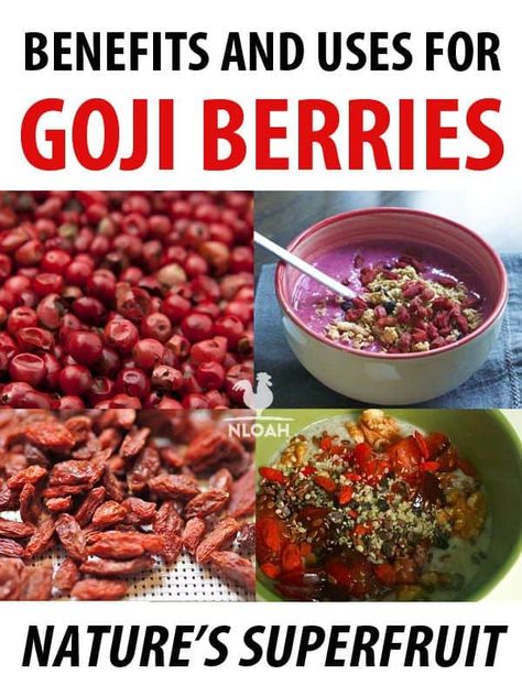 Benefits and Uses for Goji Berries – Nature’s Superfruit! • New Life On A Homestead Recipes Using Goji Berries, Goji Berry Oatmeal, Gogi Berry Recipes, Recipes With Goji Berries, Gogi Berries Recipes, Goumi Berry Recipes, Dried Goji Berry Recipes, Goji Berries Recipes, Goji Berries Plant