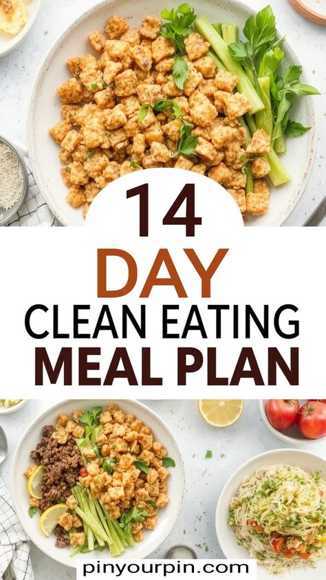 14 Day Clean Eating Meal Plan Clean Eating Carbs, 2 Week Cleanse Meal Plan, Clean Eating Plan 7 Day, Arbonne Meal Plan, 3 Day Meta Clean, Fresh Meals Clean Eating, 75 Soft Challenge Meals, 75 Soft Meal Plan, Healthy Eating Vision Board Pics