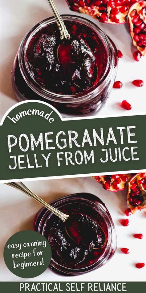 Preserving Pomegranates, Jelly From Juice, Pomegranate Jam, Canning Instructions, Pomegranate Jelly, Blueberry Jelly, Sugar Fruit, Preserving Recipes, Easy Canning