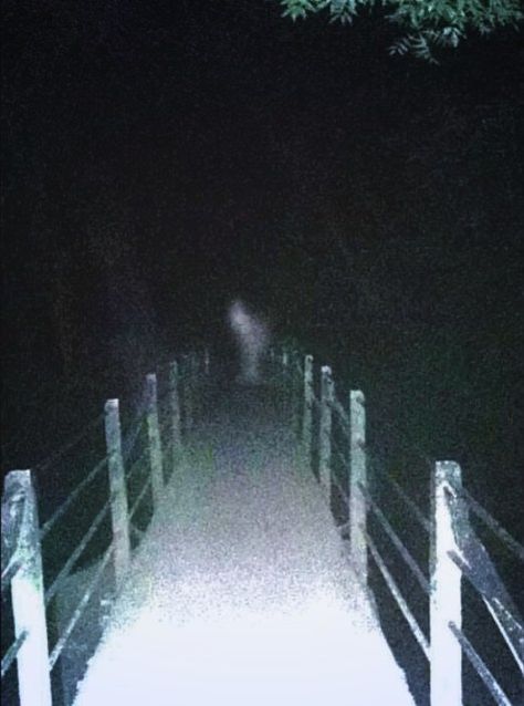 Footbridge Phantom The photo above was taken at Vassals Park in Bristol, England. The property was once part of a handsome estate and is reportedly home to a ghostly monk who died for his faith. Does this picture show the man’s hooded form? Some believe the Duchess of Beaufort, who once resided nearby, also haunts the park. . . . . www.deadlive.co.uk #deadlive #deadliveevents #psychicreadings #ghosthunts #hauntedvenues #ghosthunting #spookynights #psychicevents #ghosthuntingequipment #psychicnig Types Of Ghosts, Paranormal Aesthetic, Spooky Halloween Pictures, Paranormal Photos, Ghost Sightings, Creepy Core, Creepy Photos, Scary Stuff, Real Ghosts