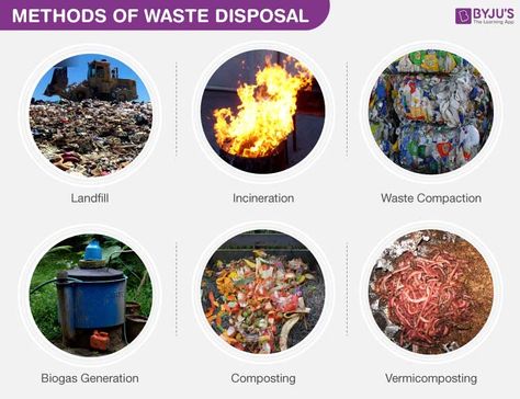 Garbage In Garbage Out, Solid Waste Management, Biodegradable Waste, Types Of Waste, Environment Science, Construction Waste, Industrial Waste, Hazardous Waste, Greenhouse Effect