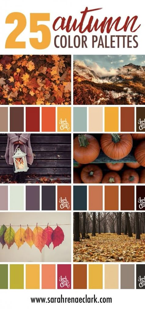 Color Pallets Inspiration For Home, Fall Cookie Color Palette, Autumn Decor Color Palette, Orange Wood Color Palette, Fall Palette Colour Schemes, Fall Decor Color Schemes, Fall Color Palette Home, Fall Color Bedroom Ideas, Fall Color Pallettes