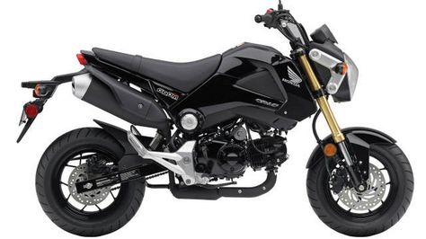 Honda Grom Scoopy India Launch Unlikely Grom Motorcycle, 125cc Motorbike, Honda Msx 125, Honda 125, White Motorcycle, Standard Motorcycle, Honda Grom, Honda Models, Sports Bikes Motorcycles