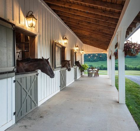 Horses looking outside their stalls Dream Barn Stables, Equestrian Property, Horse Farm Ideas, Horse Barn Ideas Stables, Horse Barn Designs, Dream Stables, Dream Horse Barns, Horse Barn Plans, Horse Stable