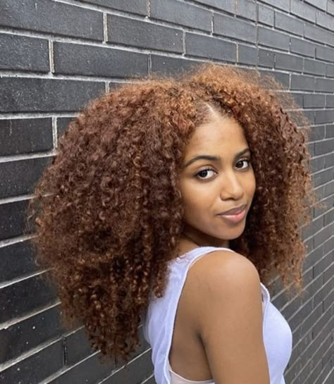 4a Hair, Dyed Curly Hair, 3c Hair, Curly Hair Inspo, Natural Hair Goals, Dyed Natural Hair, Natural Hair Beauty, Curly Hair Inspiration, Natural Hair Inspiration