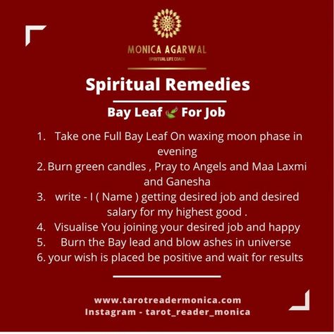 Monica Agarwal - Tarot Reader on Instagram: “Bay Leaf 🍃 is Magical Herb which is used in all kinds of positive manifestation. Today I bring DIY - Bay Leaf ritual to perform to get a…” Bay Leaf Ritual, Loa Techniques, Bay Leaf Magic, Herbs In Witchcraft, Bay Leaf Manifestation, Burn Bay Leaves, Vastu Remedies, Burning Bay Leaves, Positive Manifestation