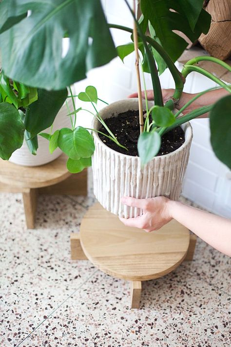 DIY Modern Wood Plant Stand Support Pour Plante, نباتات منزلية, Wood Plant Stand, Diy Plant Stand, Diy Holz, Diy Upcycling, Woodworking Jigs, Plant Stands, Diy Planters