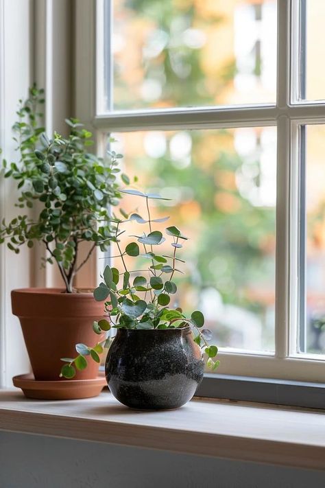 Brighten Spaces with Top Window Shelf Ideas Window Sill Planter Ideas, Window Sill Herbs, Window Plants Ideas, Windowsill Decor Living Room, Window Ledge Ideas, Window Shelf Ideas, Plants In Window, Window Shelf Decor, Plant Window Sill