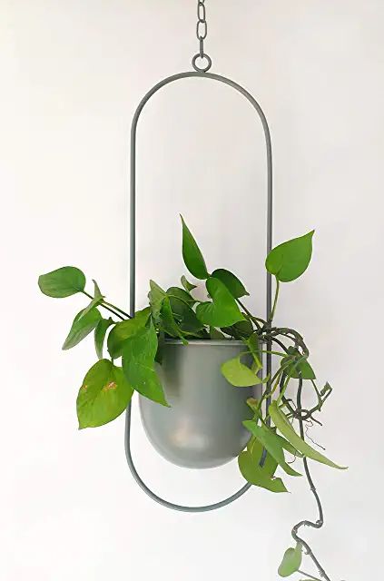 Amazon.ca : plant hanger Metal Plant Hangers, Gray Planter, Metal Hanging Planters, Modern Planter, Outdoor Home Decor, Ceramic Planter Pots, Pot Plant, Modern Planters, Ceiling Hanging