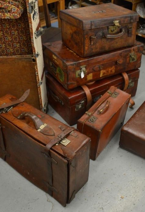 Suitcase Aesthetic Vintage, The Magic Faraway Tree, Faraway Tree, Hogwarts Gryffindor, Girl Red Dress, Vintage Suitcases, Hogwarts Aesthetic, Dark Academia Aesthetic, Academia Aesthetic