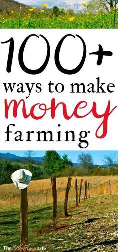 Starting A Farm, Farming Ideas, Symbole Viking, Homesteading Diy, Homestead Farm, Quit Your Job, Farm Business, Football Tips, Future Farms