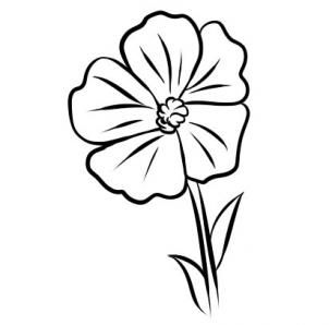 how to draw a buttercup step 6 Flower Drawing Simple, Tatts Ideas, Pattern Illustrations, Buttercup Flower, Flowers Drawing, Drawing Guide, Drawing Simple, Doodles Zentangles, Pallet Art